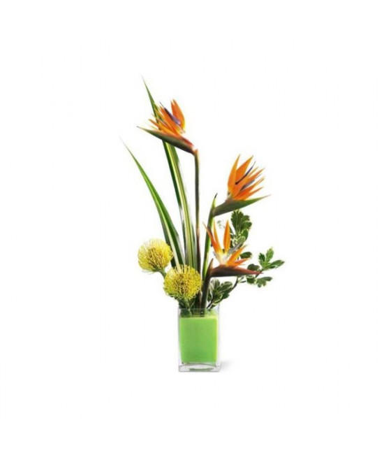 L'arrangement tropical dans un vase